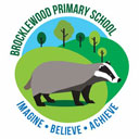 Rodocodo testimonial Sam Clark Brocklewood Primary School
